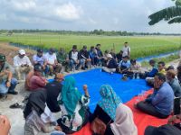 Wabup Inhu, Hendrizal sidak sawah Teluk Sungkai dan dengar keluhan petani.(foto: istimewa)